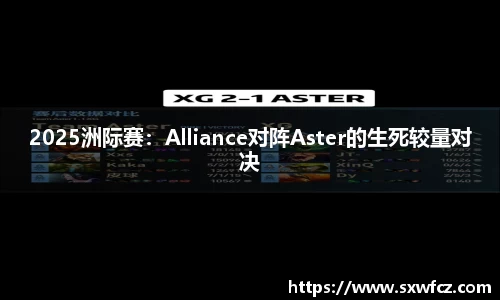 333体育