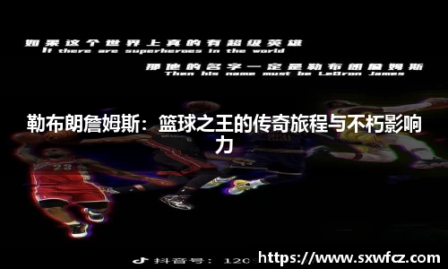 333体育官网登录