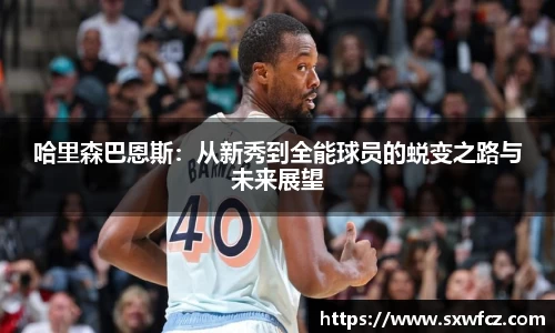 333体育平台