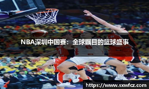 333体育官网入口