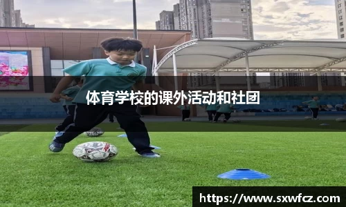 333体育平台