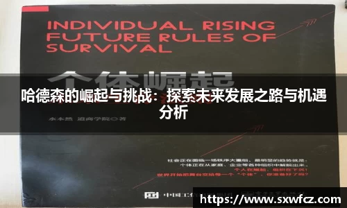 哈德森的崛起与挑战：探索未来发展之路与机遇分析